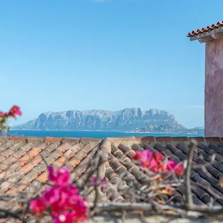 Nicola * أولبيا