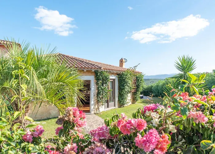 Nicola فيلة أولبيا